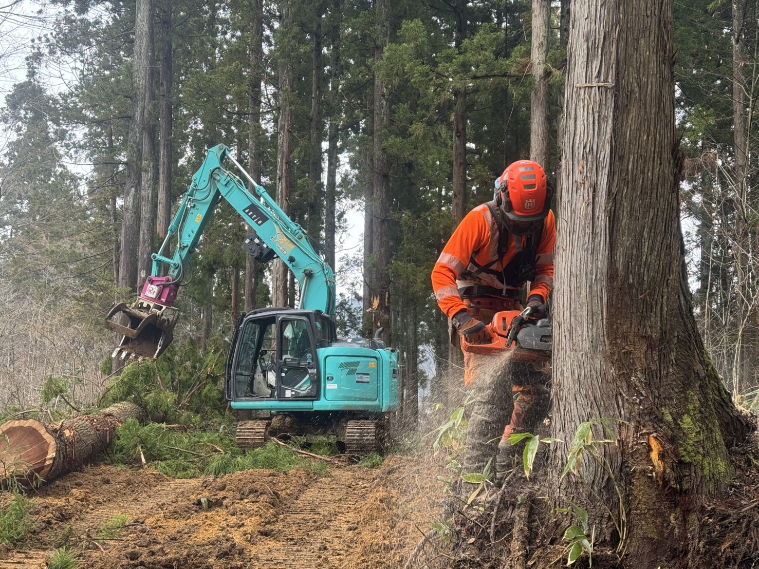 秋田県五城目富津内地区における林業現場の作業完了報告